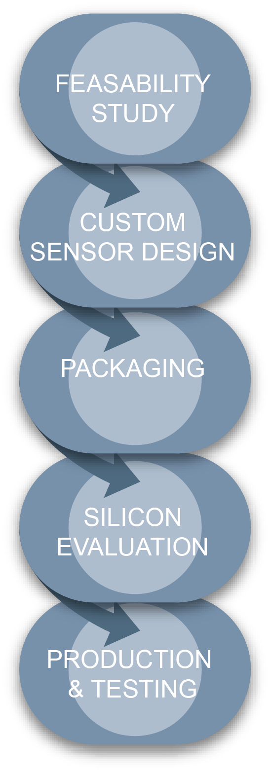 Services supplied by SI Sensors